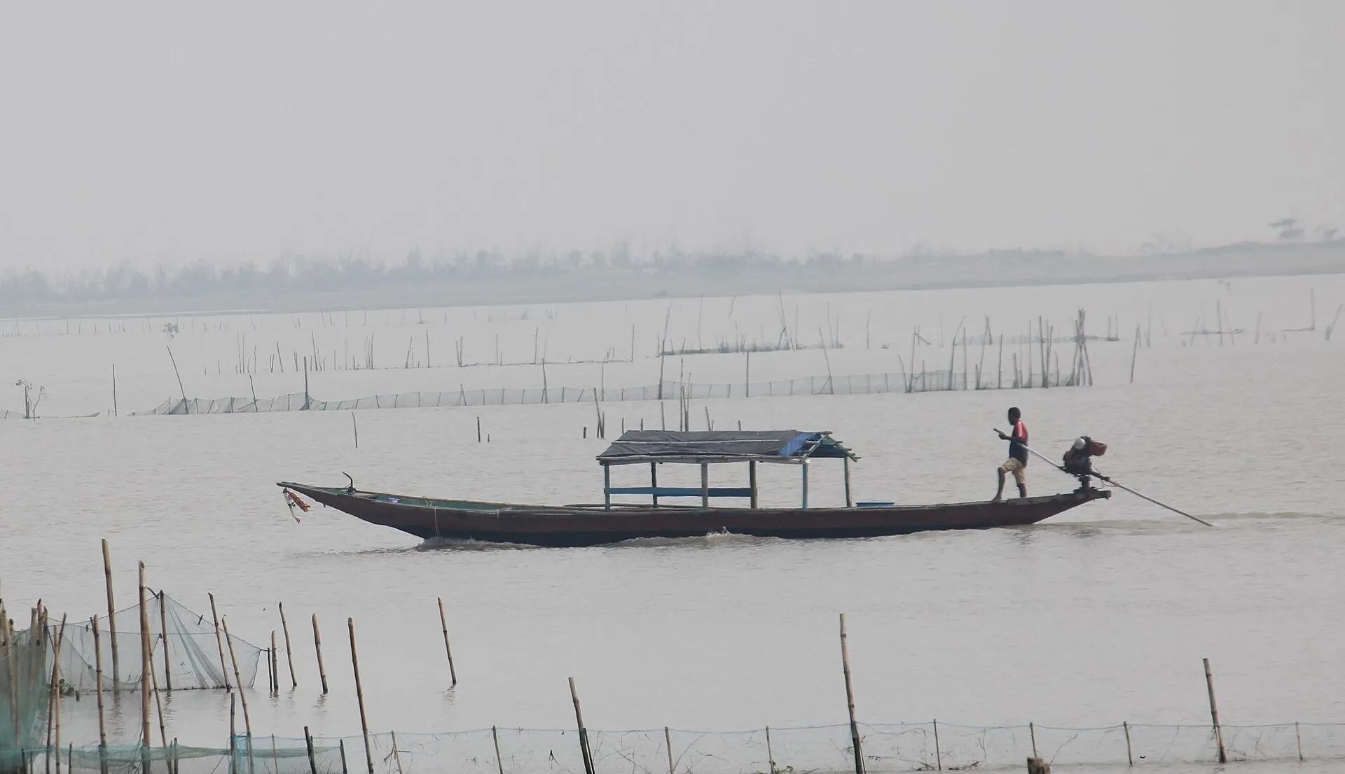A fisherman poling a wooden boat past rows of bamboo stakes on Chilika Lake