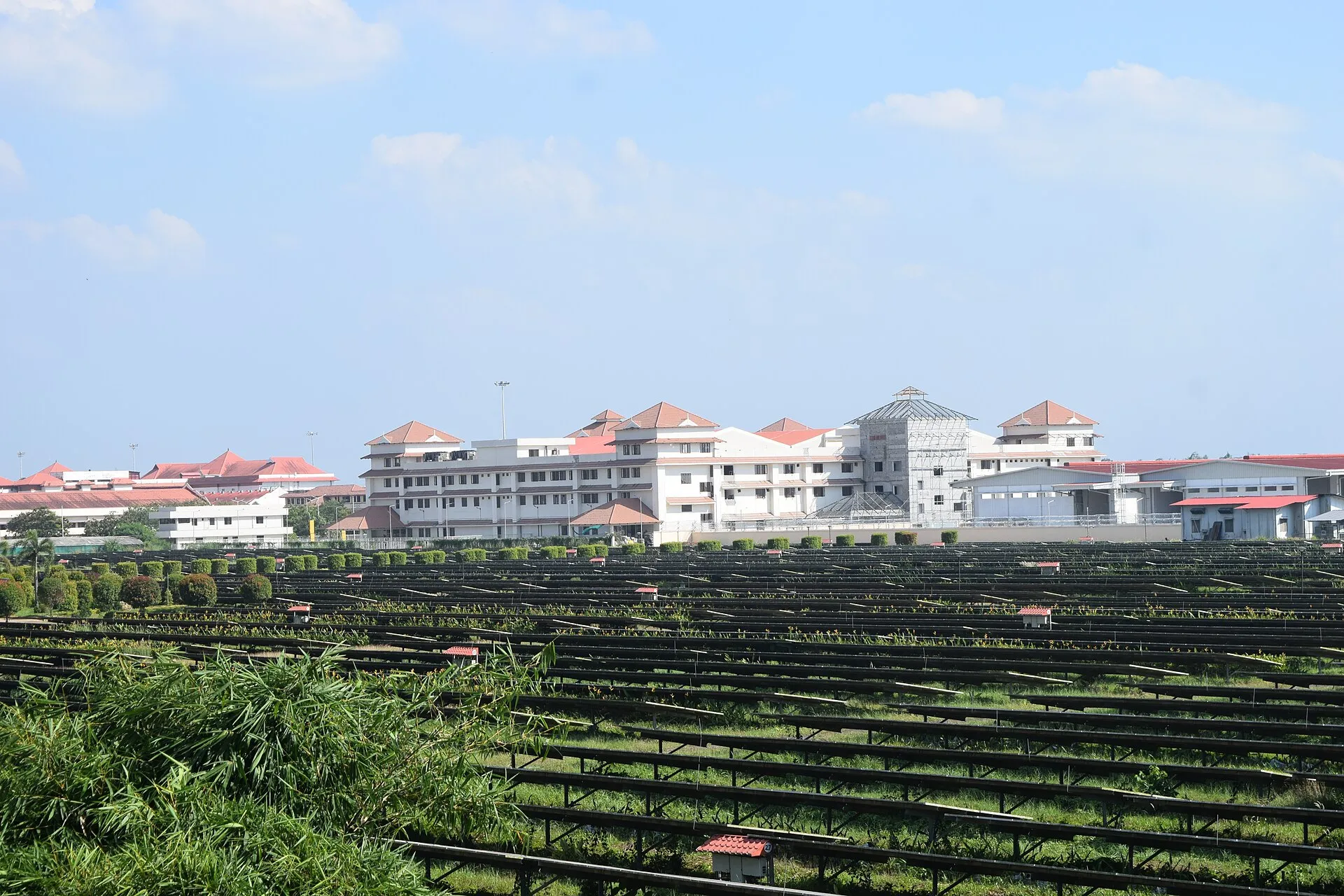 Rows of solar panels at the Cochin International Airport solar power plant
