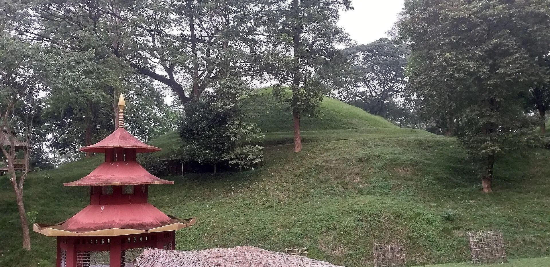 A grass-covered moidam burial mound among trees at Charaideo, with a small red tiered shrine in front