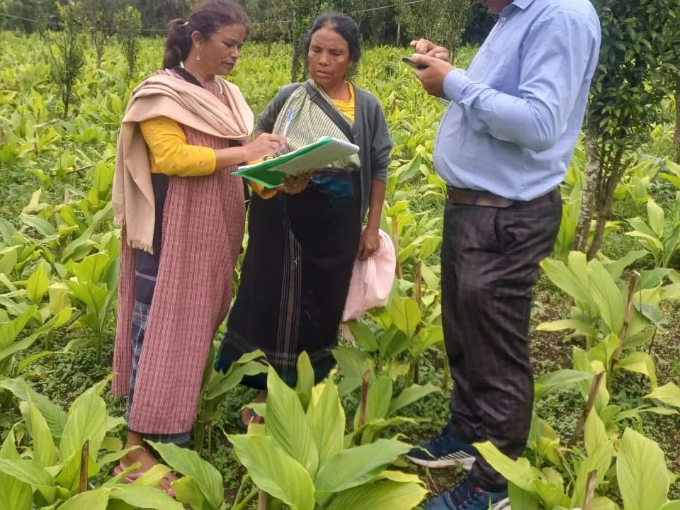 An organic-certification inspection in a Lakadong turmeric field with Trinity Saioo, Meghalaya