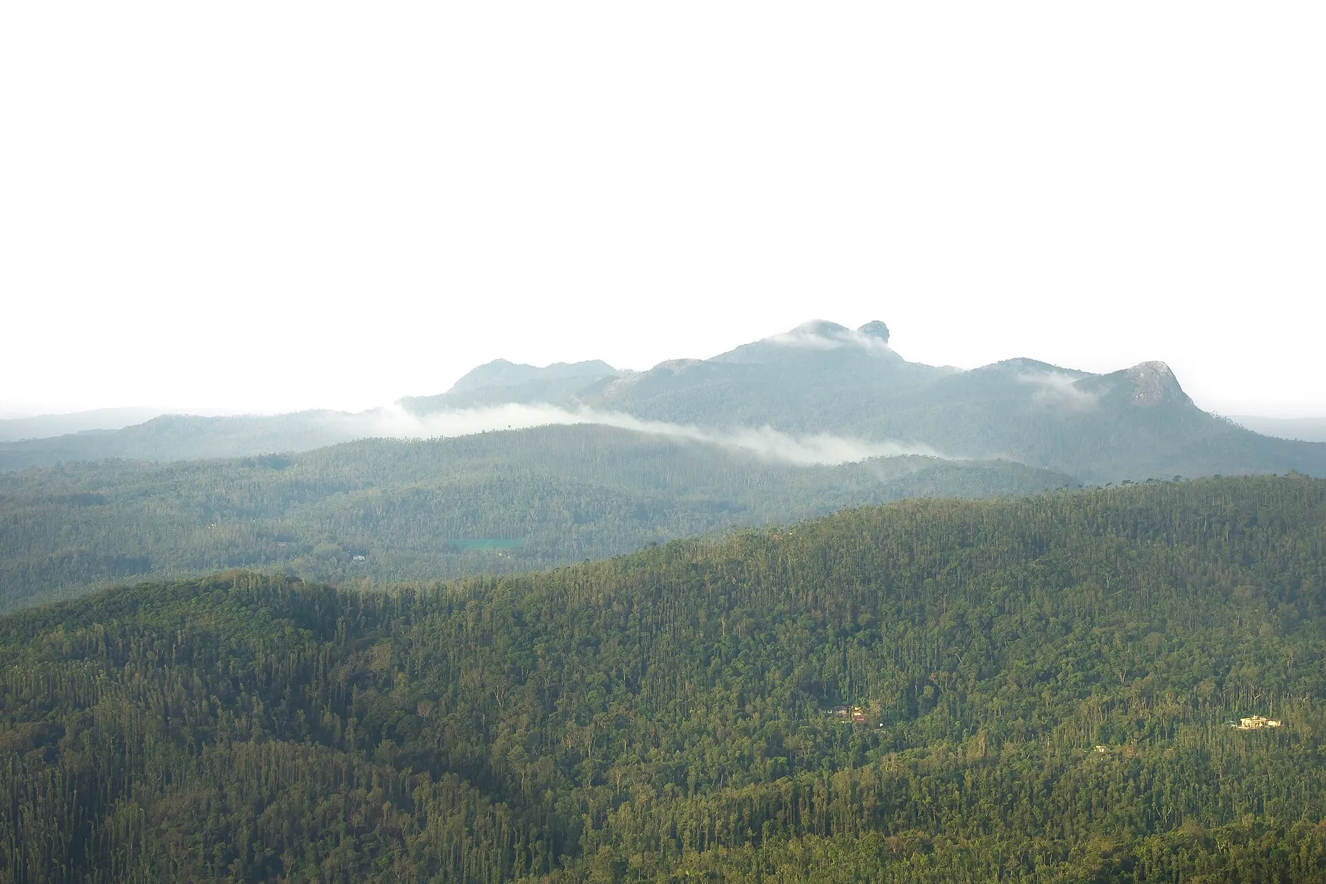 Forested ridges of the Western Ghats fading into mist, seen from Mullayanagiri in Karnataka